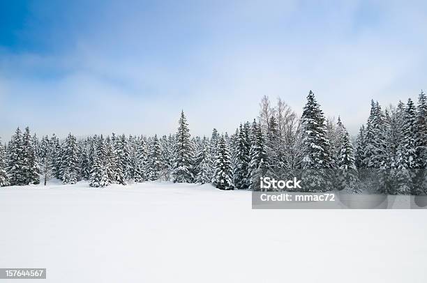 Paisaje De Invierno Con Nieve Y Árboles Foto de stock y más banco de imágenes de Árbol - Árbol, Nieve, Envuelto