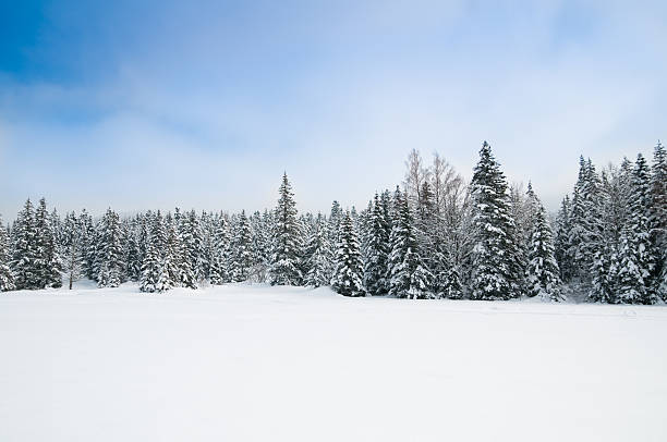istock Winter Landscape with Snow and Trees 157644567