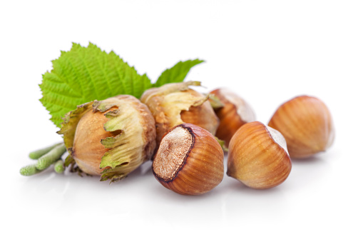 hazelnuts (Corylus avellana)