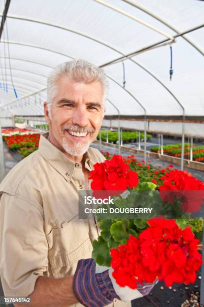 Reifer Mann Gartenarbeit Stockfoto und mehr Bilder von 50-54 Jahre - 50-54 Jahre, Aktiver Lebensstil, Aktiver Senior