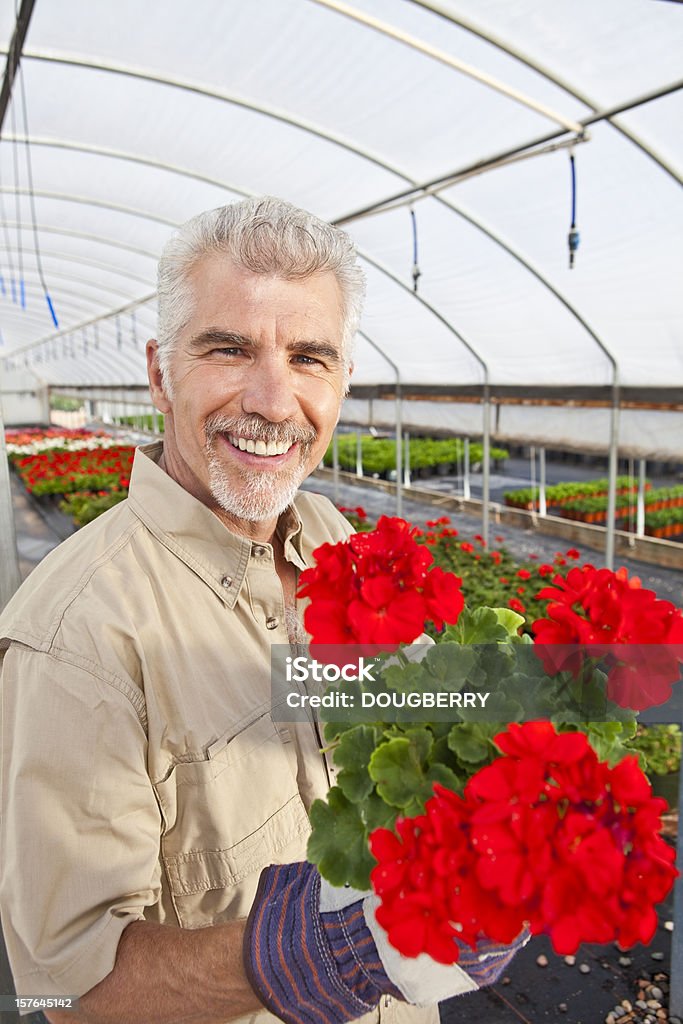 Hombre maduro jardinería - Foto de stock de 50-54 años libre de derechos