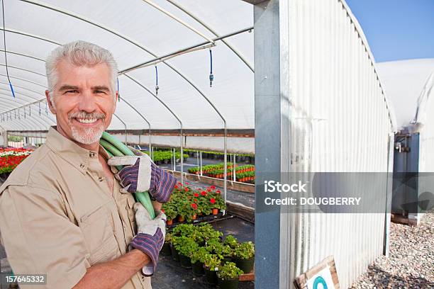 Homem Maduro Jardinagem - Fotografias de stock e mais imagens de 50-54 anos - 50-54 anos, Abundância, Adulto