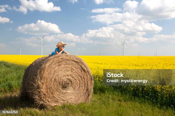 Aerogenerador Foto de stock y más banco de imágenes de Colza - Colza, Niño, 10-11 años