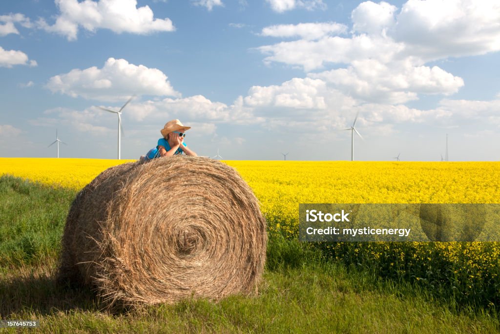 Éolienne - Photo de Colza libre de droits