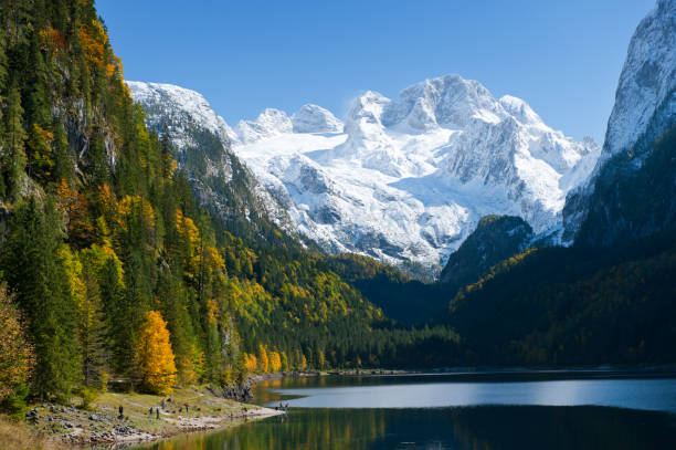istock Gosausee with Glacier Dachstein in back - Nature Reserve Austria 157646021