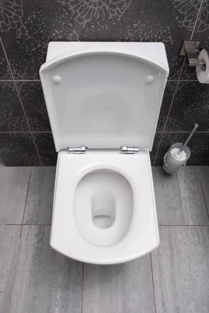 istock White toilet bowl and paper in a bathroom. 1576460953