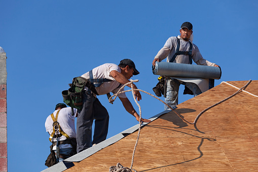 Roofers on an 8-12 pitch roof laying under-layment before installing roof tile. Roofer is throwing safety line out of the way. 