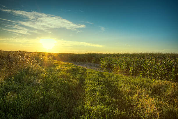 istock Early morning countryside sunrise 157646461