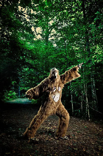 happy gorilla/big foot pulling a step from a popular 70s disco style dance on a dirty road of the appalachian mountains in north carolina, usa.