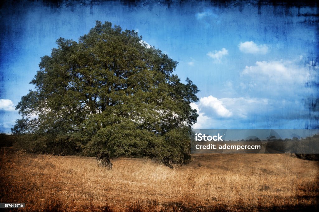 Einsame Baum - Lizenzfrei Altertümlich Stock-Foto