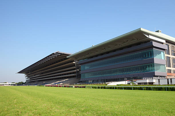 pista de corridas de cavalos - flat racing imagens e fotografias de stock