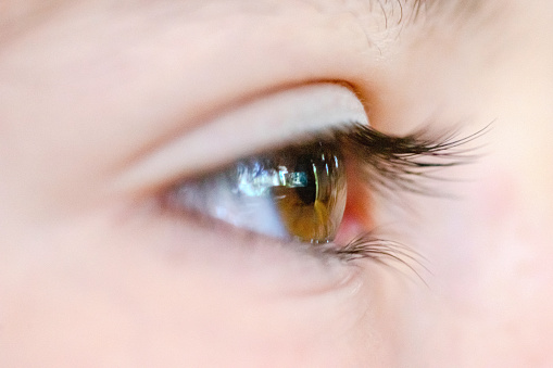 Beautiful iris of human eye gray green closeup. Female eye and eyelashes with mascara