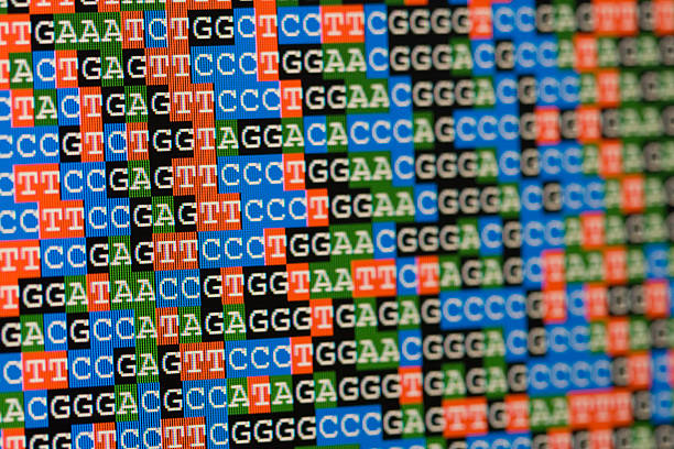 las secuencias de adn unaligned como se muestran en una pantalla lcd - nucleotides fotografías e imágenes de stock