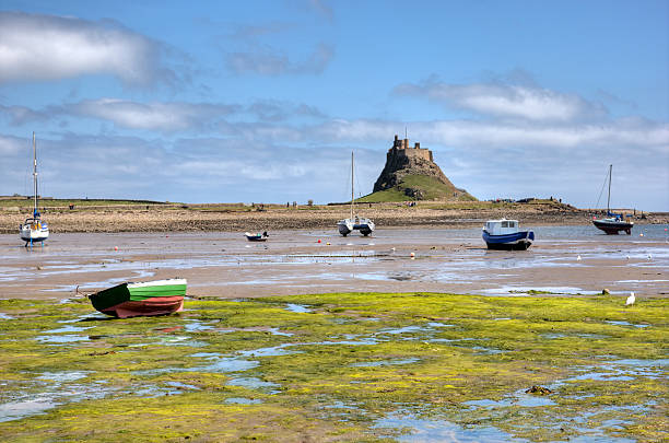 istock Holy Island Northumberland UK 157647547