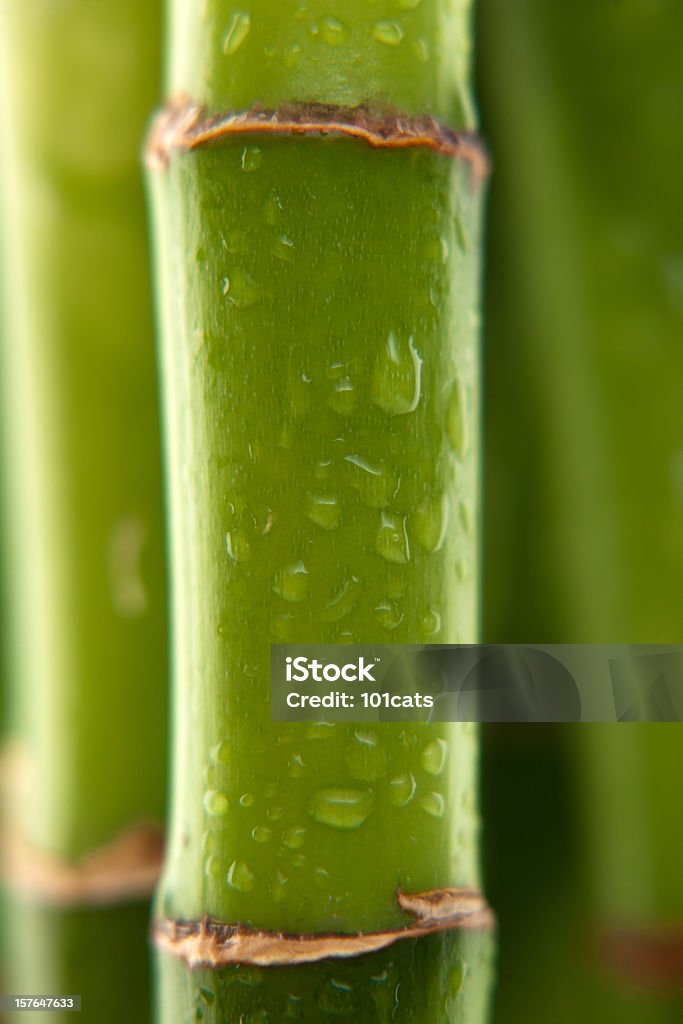 Bambus - Lizenzfrei Wasser Stock-Foto