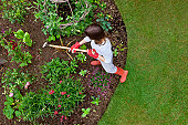 Woman weeding a flower bed with a hoe