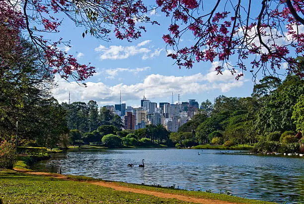 Photo of Sao Paulo, Brazil, skyline