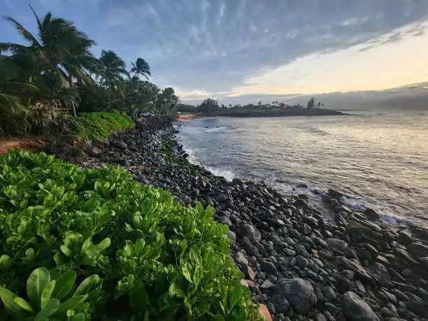 Maui Landscape Images