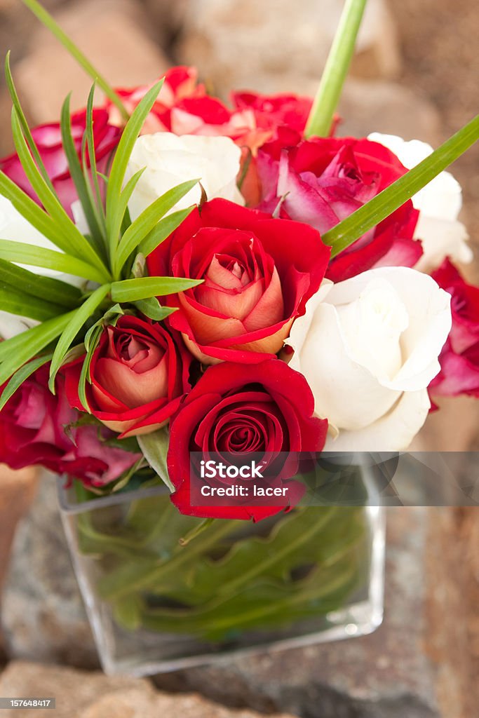 Rouge et blanc de Roses - Photo de Bouquet formel libre de droits