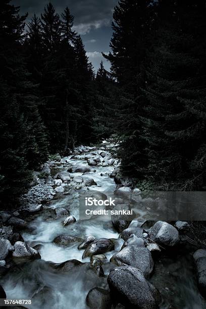 Fiume Nella Foresta Parco Nazionale Pirin - Fotografie stock e altre immagini di Acqua - Acqua, Acqua fluente, Albero