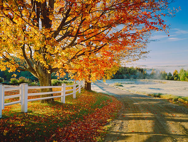 país carretera de tierra con follaje de otoño en vermont - nueva inglaterra fotografías e imágenes de stock