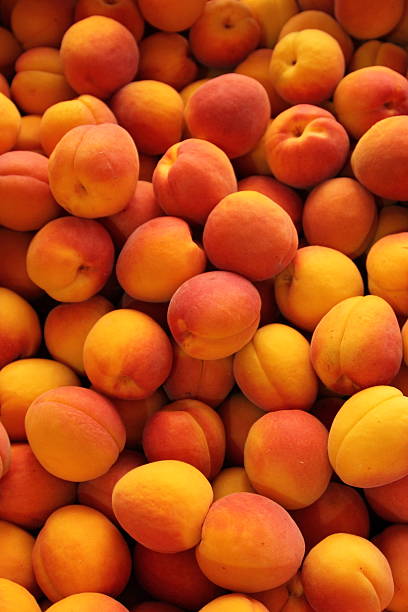 Apricots full frame stock photo