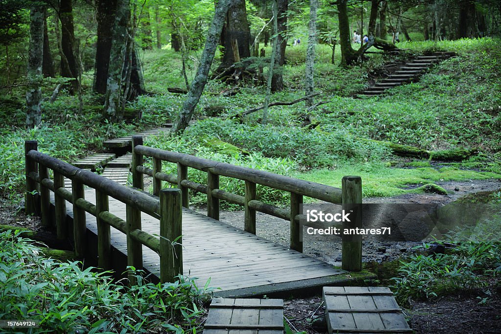 Через лес - Стоковые фото Satoyama - Scenery роялти-фри