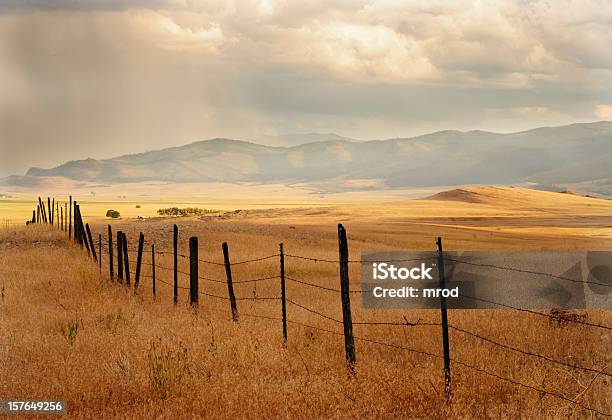 Ogrodzenie I Pola Uprawne - zdjęcia stockowe i więcej obrazów Stan Montana - Stan Montana, Niespokojne niebo, Ogrodzenie - Granica