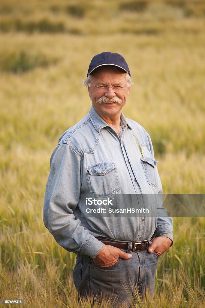 Фермер в Ячмень - Стоковые фото Альберта роялти-фри
