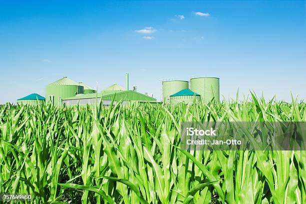 Biogas Fahren Und Mais Stockfoto und mehr Bilder von Bio-Treibstoff - Bio-Treibstoff, Mais - Zea, Biogas
