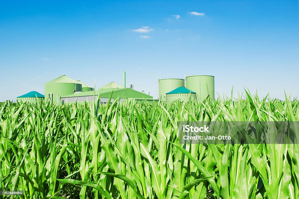 생물 가스 공장 및 옥수수 - 로열티 프리 생물 연료 스톡 사진