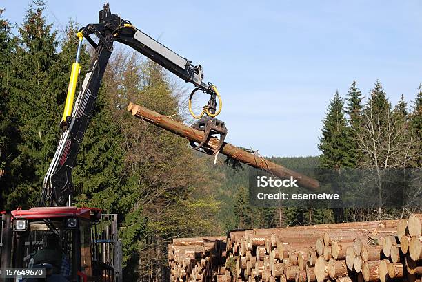 La Economía Forestal Foto de stock y más banco de imágenes de Maquinaria - Maquinaria, Serrar, Árbol