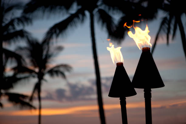 istock Tiki Torch Flames At Sunset 157649715