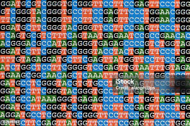 Sequências De Dna Unaligned No Lcd Ecrã Do Computador - Fotografias de stock e mais imagens de ADN