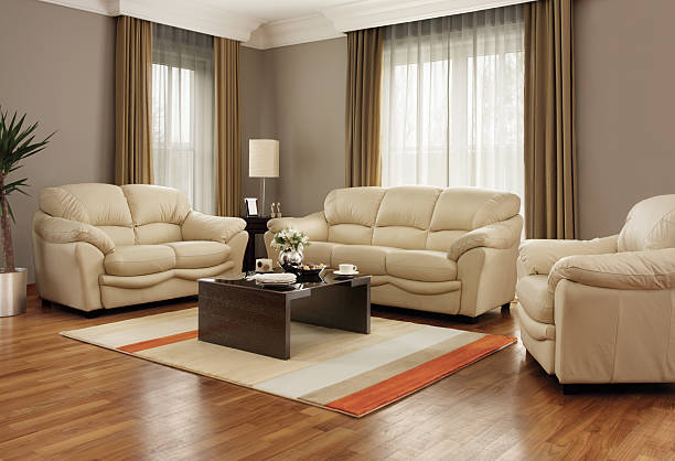 Living Room Modern Living room. leather couch stock pictures, royalty-free photos & images