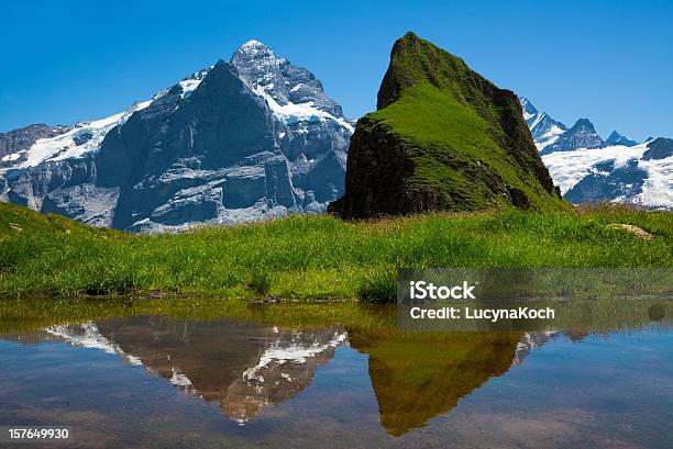 Two Animals Stockfoto und mehr Bilder von Alpen - Alpen, Berg, Berggipfel