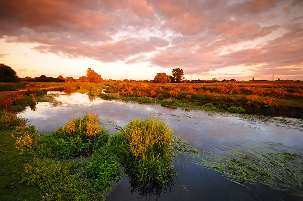 болот закате - riverbank marsh water pond стоковые фото и изображения