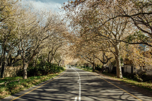 Main road of Noordhoek that leads onto the majestic Chapmans Peak, a scenic paradise that leaves tourists speachless