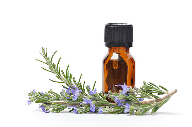 Essential Oil with Sprigs of Fresh Rosemary A small bottle of essential oil with sprigs of fresh Rosemary, one with flowers. aromatherapy oil photos stock pictures, royalty-free photos & images