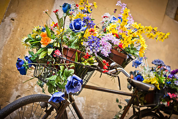 Old bike with many colored flowers in the centre of Firenze (Tuscany, Italy).