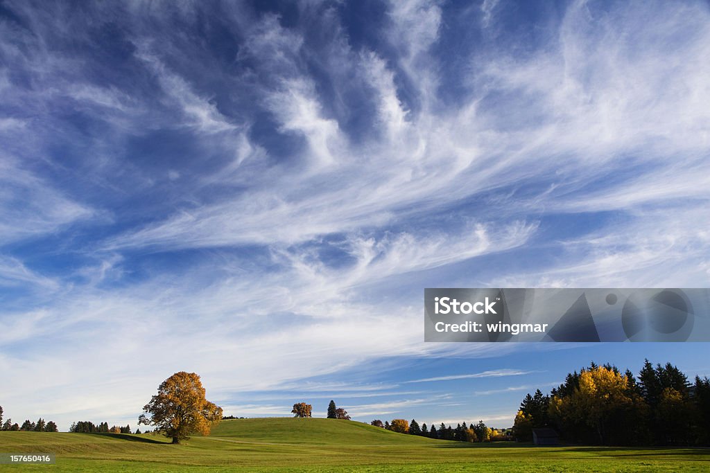 bavarian outono meadow - Foto de stock de Cirro royalty-free