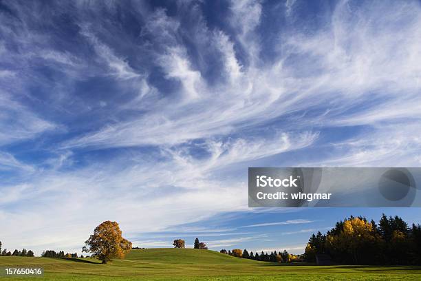 Foto de Bavarian Outono Meadow e mais fotos de stock de Cirro - Cirro, Céu - Fenômeno natural, Grama