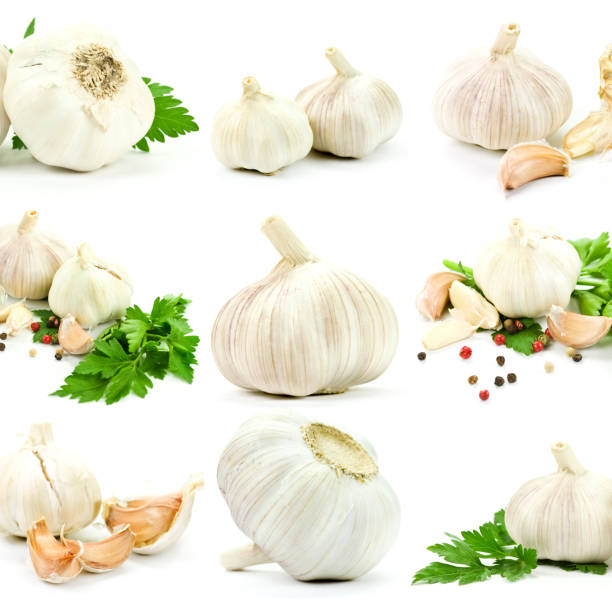 istock Garlic and parsley collage 157650561