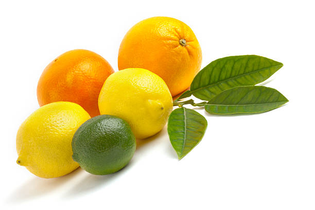Citrus fruit High resolution of citrus fruit arrangement on white background. Oranges, Lemons, Lime with lemon leaves valencia orange photos stock pictures, royalty-free photos & images