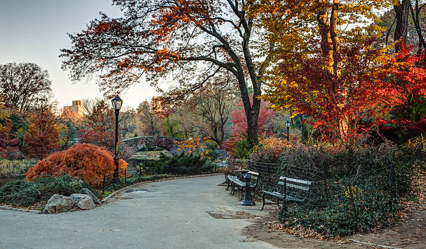 istock Gapstow bridge Central Park, New York City 157651915