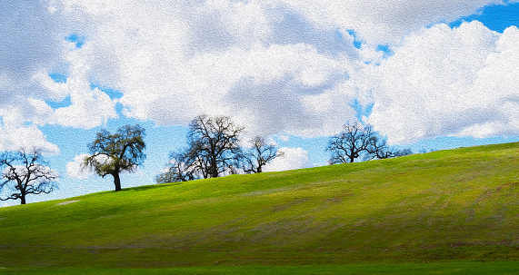 Green rolling gill with Oak trees and white fluffy clouds in the background.