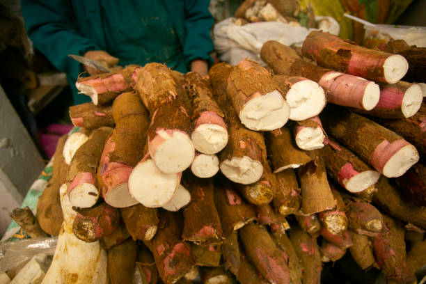 istock Organic yuca in a market stall in Cusco, Peru. 1576526184