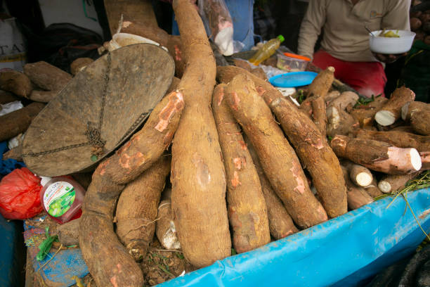 istock Organic yuca in a market stall in Cusco, Peru. 1576526284