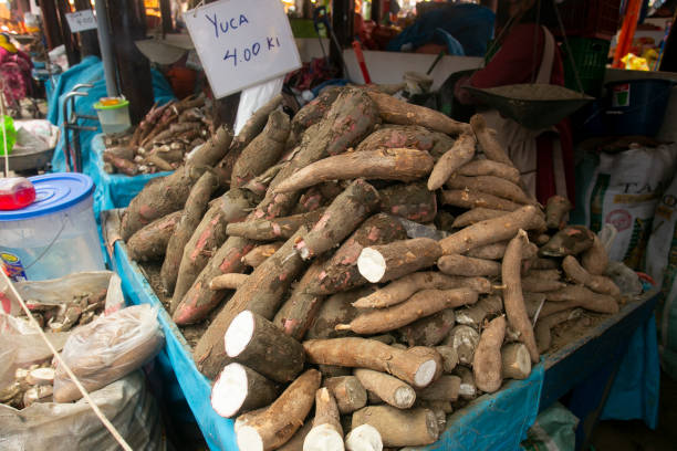 istock Organic yuca in a market stall in Cusco, Peru. 1576526285
