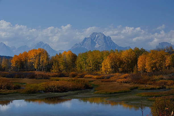Fall Colors in Grand Teton National Park stock photo